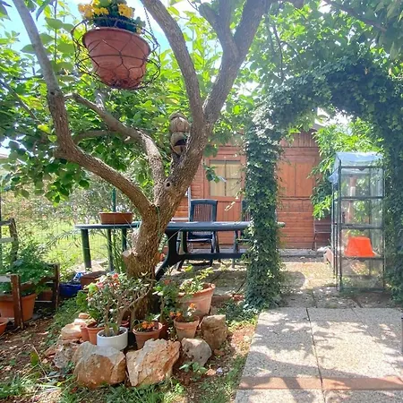 Apartment Santo *