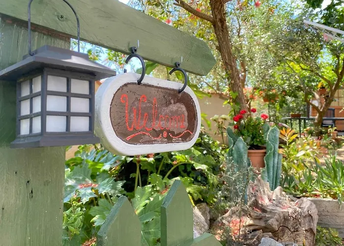 Santo * Novigrad Istria